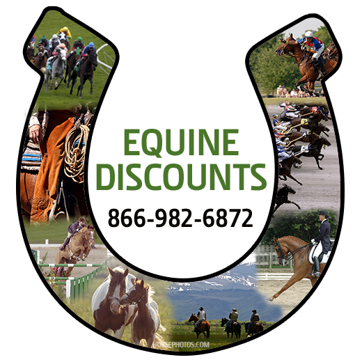 Equine Discounts